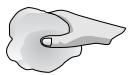 BOSCH PCD 345 CEU INOX - Nettoyage et conservation - 3