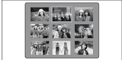 FUJIFILM FinePixE500 - Sélection d’images - 1