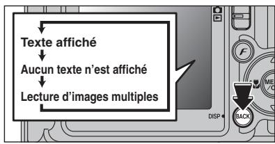 FUJIFILM FinePixE500 - Sélection d’images - 2