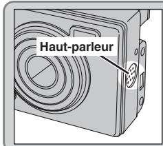 FUJIFILM FinePixE500 - Lorsque l'image possède déjà une annotation VOCALE - 4