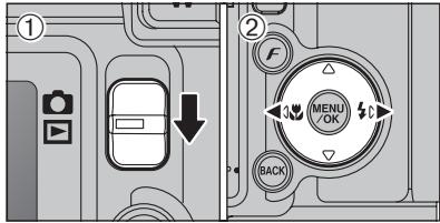 FUJIFILM FinePixE500 - Fichiers d'annotations vocales compatibles - 1