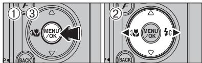 FUJIFILM FinePixE500 - Fichiers d'annotations vocales compatibles - 2