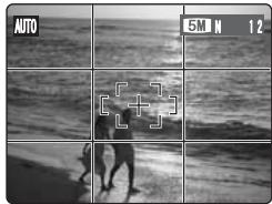 FUJIFILM FinePixE500 - Cadre grille - 1