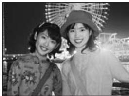 FUJIFILM FinePixE500 - Flash force - 1