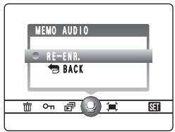 FUJIFILM FinePixE500 - Lorsque l'image possède déjà une annotation VOCALE - 1