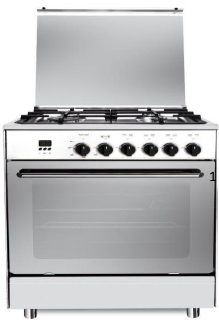 TRIOMPH TFM660IX - 3