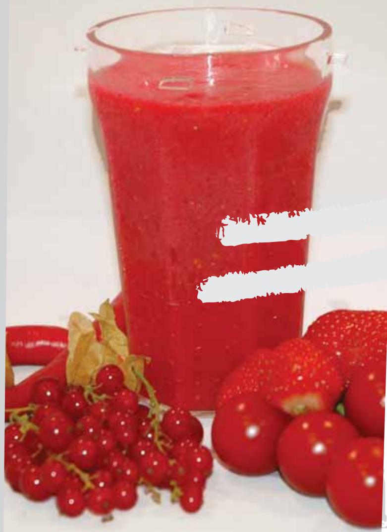 MAGIC BULLET SMOOTHIE MAKER - Recettes de smoothies - 2