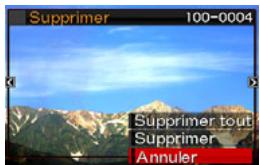 CASIO EX-S10 - Pour supprimer un seul fichier - 1