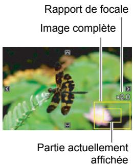 CASIO EX-S10 - Agrandissement d'une image affichée à l'écran - 1