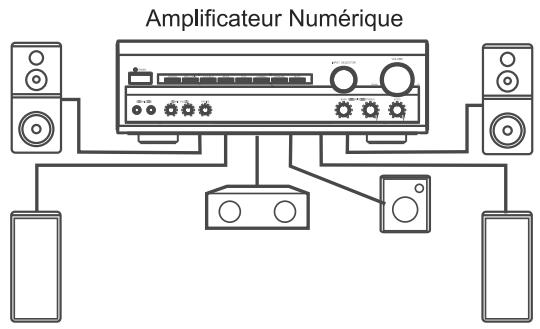 SIGMATEK DVBX-200 - Vue Arrière - 5