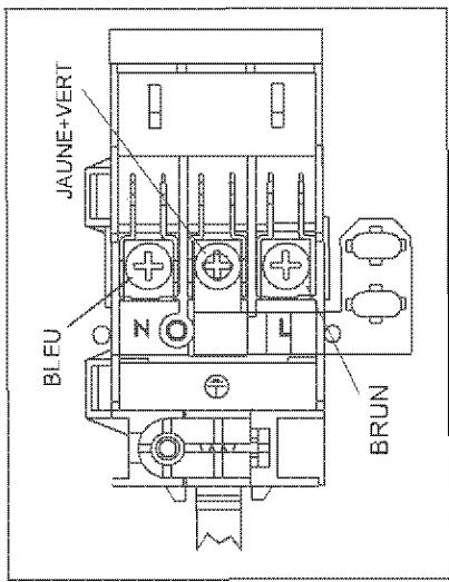 PROLINE PGH465M - Branchement électrique - 1