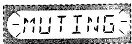 PANASONIC SC-HT75 - Appuyez sur [MUTING] - 1