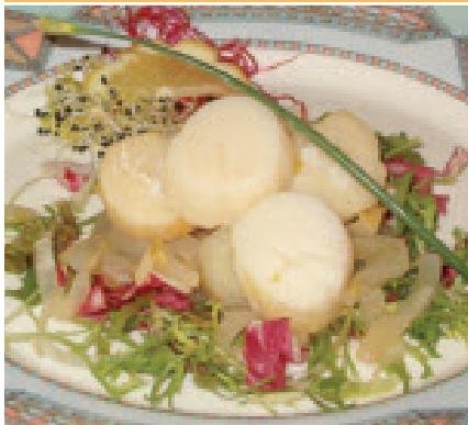 DEJELIN 8200.2 - Recettes - 1