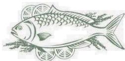 MOULINEX MSTTR1O3WHA - Poisson et fruits de mer - 1