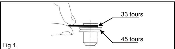 REGA PLATINE VINYLE PLANAR 1 BLACK - Changement de vitesses manuel 33 TOURS 45 TOURS - 1