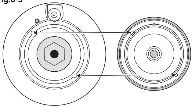 LA CORNUERE ALB9ODFSS/BN-EU - François - 1