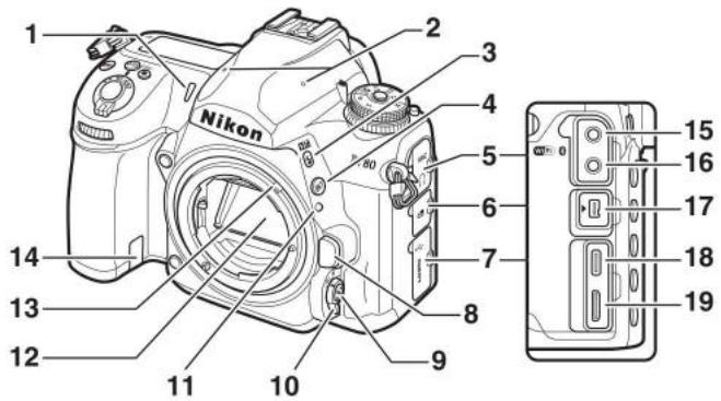 NIKON D780 - Boîtier - 2