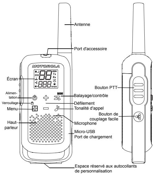 MOTOROLA T62 - Boutons de commande et écran de la radio - 1