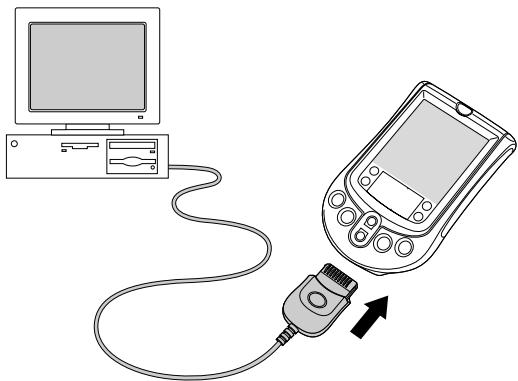 PALM m100 - Pour installer le logiciel palm desktop sur un ordinateur windows : - 1