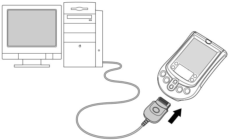 PALM m100 - Pour exécuter une synchronisation hotSync sur un macintosh : - 1