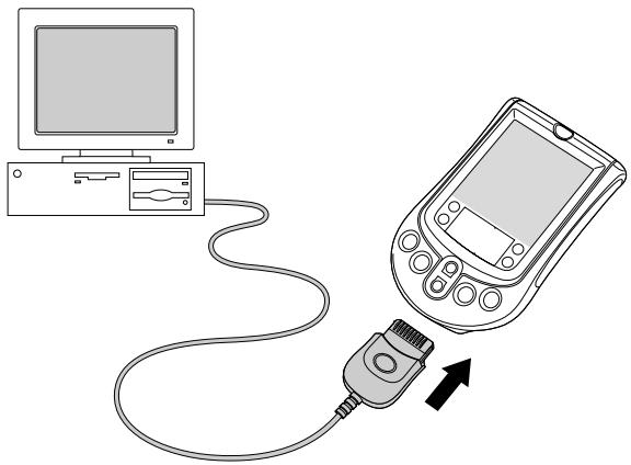 PALM m100 - Pour exécuter une synchronisation hotSync sur un ordinateur windows : - 1