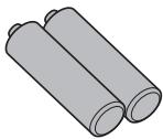 PANASONIC TX-100FP1E - Vérification des accessoires - 2