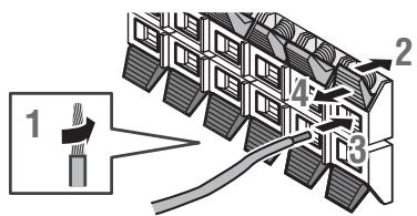 Raccordement des cables d'enceinte 1