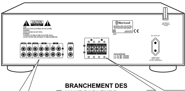SHERWOOD AX 4103 - Branchements du système - 1