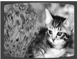 SAMSUNG HT-DS 400 ARG - Fonction Digest (Abrégé) - 3