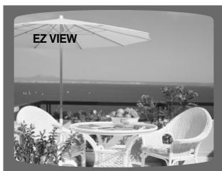 SAMSUNG HT-DS 400 ARG - Appuyez sur la touche EZ VIEW. - 1