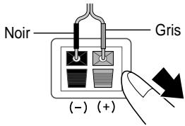 SAMSUNG HT-DS 400 ARG - Arrière des enceintes - 2