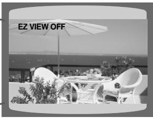 SAMSUNG HT-DS 400 ARG - Appuyez sur la touche EZ VIEW. - 2