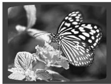 SAMSUNG HT-DS 400 ARG - Fonction Rotation/Retournement - 1