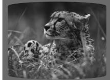 SAMSUNG HT-DS 400 ARG - Appuyez rapidement sur - 5