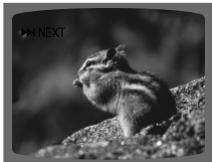 SAMSUNG HT-DS 400 ARG - Appuyez rapidement sur - 4