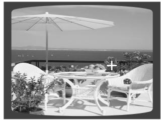 SAMSUNG HT-DS 400 ARG - Fonction Zoom (Agrandissement de l'écran) DVD VCD - 2