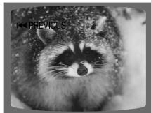 SAMSUNG HT-DS 400 ARG - Appuyez rapidement sur - 6