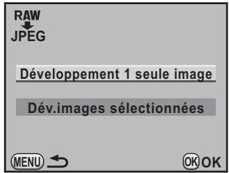 PENTAX K7+DA18-55WR+50-200 - Développement d'une image RAW - 1