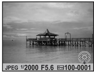PENTAX K7+DA18-55WR+50-200 - Agrandissement des images - 1