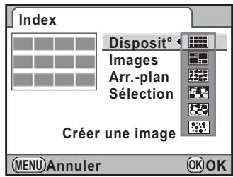 PENTAX K7+DA18-55WR+50-200 - Assemblage de plusieurs images (index) - 1