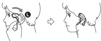 Diagram illustrating ear anatomy before and after rotation, showing head and ear views with labeled point L