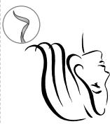 CALOR CF4012 - ASTUCES DU COIFFEUR - 1