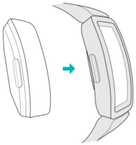 FITBIT ACE3 - Mettre en place un nouveau bracelet - 1