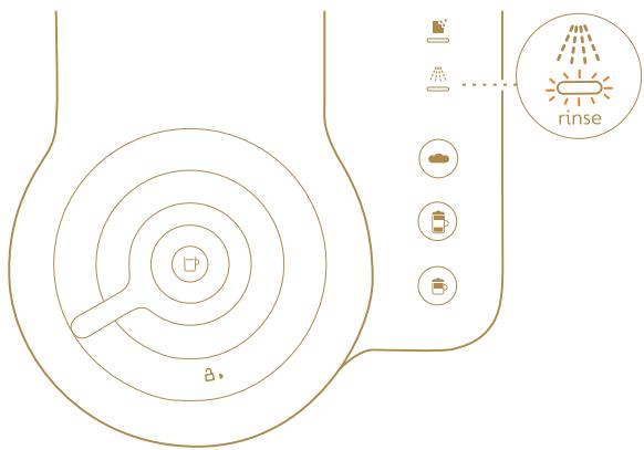 DELONGHI NC - Préparation à base de lait et rinceage quotidien - 7