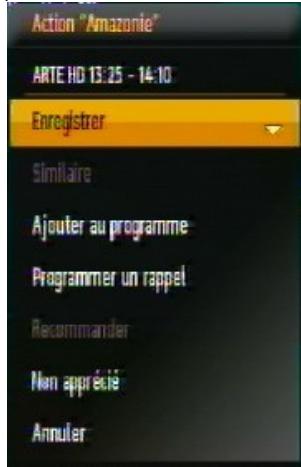 C6V 70066 - Guide électronique des programmes (EPG) - 2