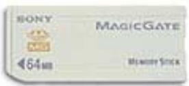 SONY PCV-RZ - MagicGate memory stick™ - 1