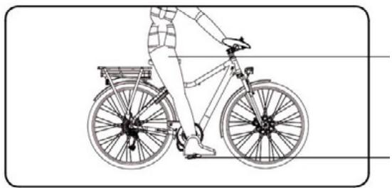 SOLEX NC - > Avertissement - 2