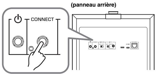 (panneau arrière)