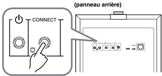 (panneau arrière)