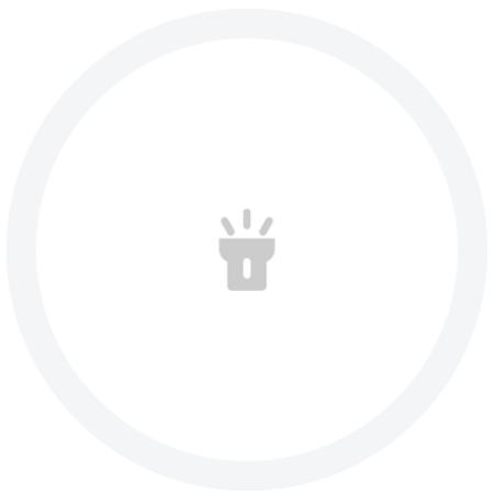 AMAZFIT T-Rex Pro - Torche - 1